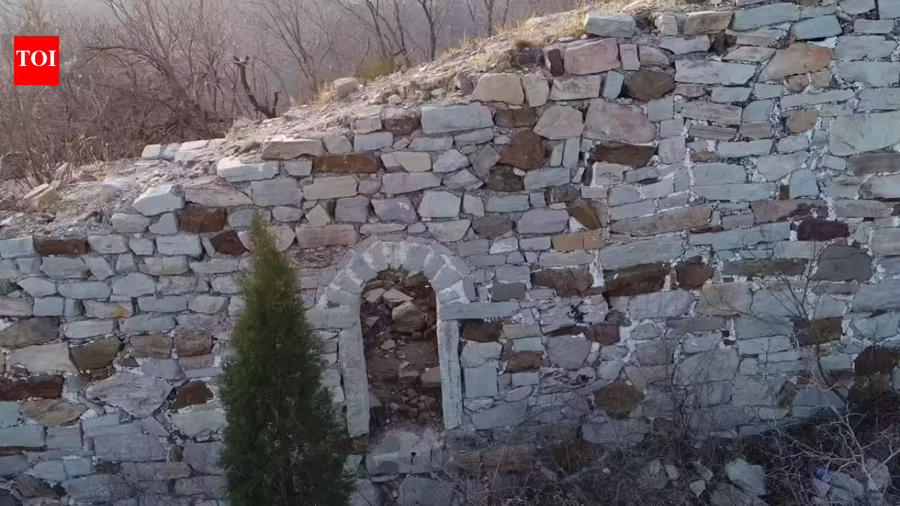 1778462833_photo.jpg