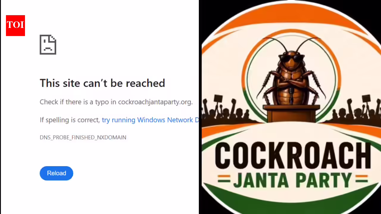 1779525920_photo.jpg