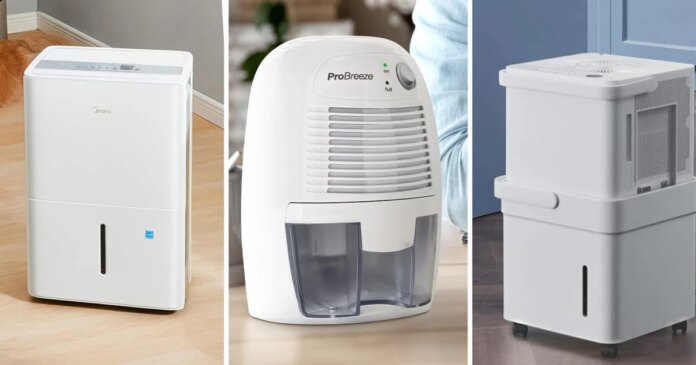260506-best-dehumidifiers-mm-main-9f81e3.jpg