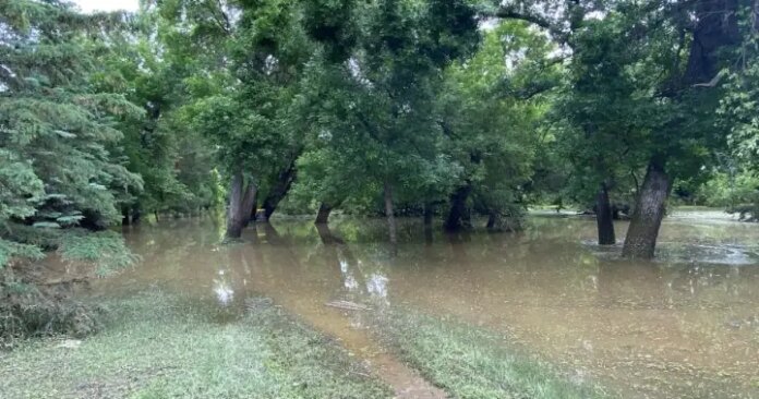 dauphin-park-flooded.jpg