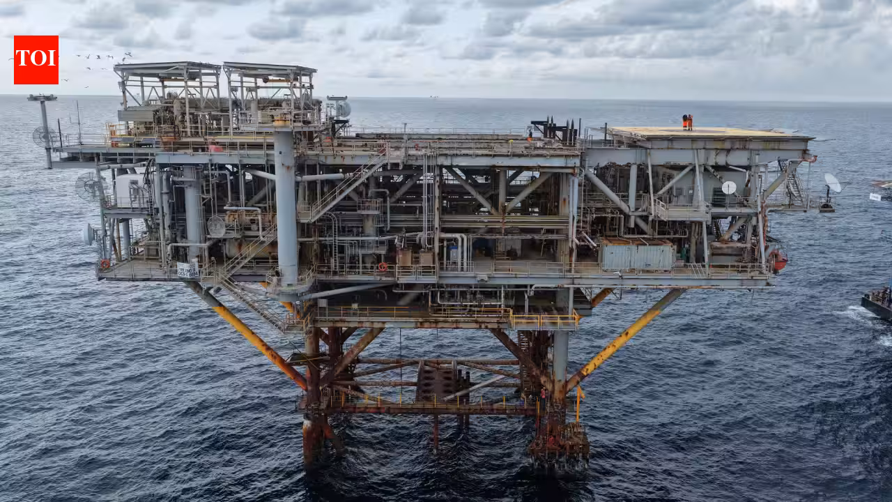Alabama has turned a decommissioned natural gas rig into two artificial reefs; one section rises 632 feet from the seafloor, preserving marine habitat that has been growing there since 1998 Alabama has turned a decommissioned natural gas rig into two artificial reefs; one section rises 632 feet from the seafloor, preserving marine habitat that has been growing there since 1998