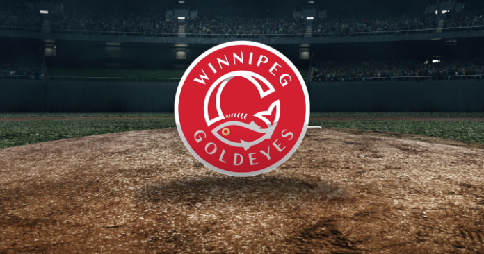 Winnipeg Goldeyes eliminated from playoffs in two-game sweep – Winnipeg Winnipeg Goldeyes eliminated from playoffs in two-game sweep – Winnipeg