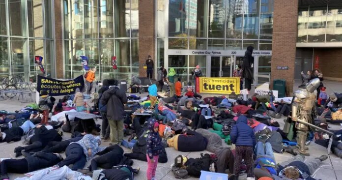 Protesters stage ‘die-in’ against pesticides in Montreal – Montreal